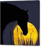 The Horse In The Moon Canvas Print