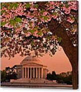 The Jefferson Memorial Framed By A Cherry Tree Canvas Print