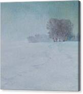 The Last Snow Canvas Print