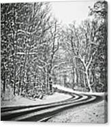 The Long Road Of Winter Canvas Print