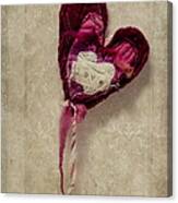 The Love Heart Canvas Print