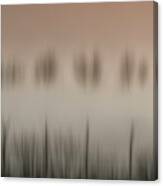 The Magic Of A Foggy Morning Canvas Print