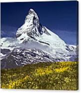 The Matterhorn With Alpine Meadow In Foreground Canvas Print
