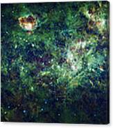 The Milky Way Canvas Print