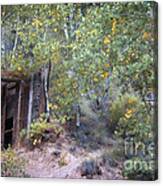 The Mine Shaft Canvas Print