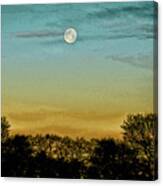 The Moon At Dawn Canvas Print