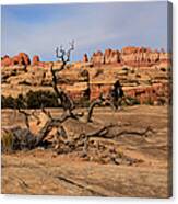 The Needles At Canyonlands National Park Canvas Print