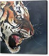 The Other Side Of Regal Canvas Print
