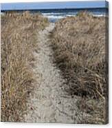 The Path Canvas Print