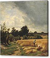 The Plateau Of Ormesson - A Path Through The Corn Oil On Canvas Canvas Print