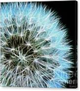 The Prolific Dandelion Canvas Print