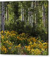 The Promise Of Spring Canvas Print