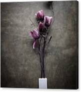 The Purple Tulip Canvas Print