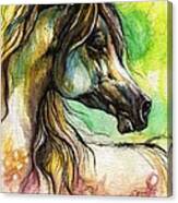 The Rainbow Colored Arabian Horse Canvas Print