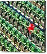 The Red Seat At Fenway Park I Canvas Print