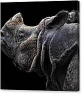 The Rhino Canvas Print