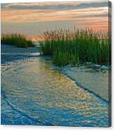 The Ripple Effect Canvas Print