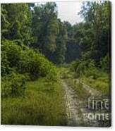 The Road Less Travelled Canvas Print