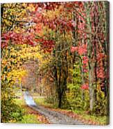 The Road Through Fall Canvas Print