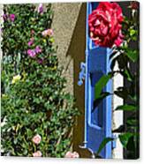 The Rose And The Blue Shutters Canvas Print