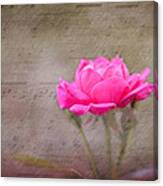 The Rose Canvas Print