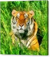 The Royal Bengal Tiger Canvas Print