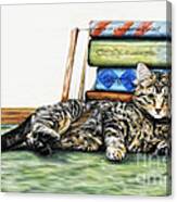The Scholar Main Coon Kitten Canvas Print