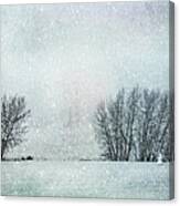 The Snow Sentry Canvas Print