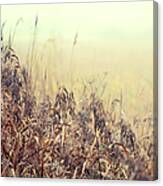 The Song Of Autumnal Grass Canvas Print