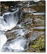 The Swirling Stream Canvas Print