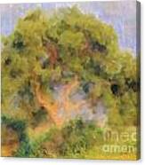 The Tree Canvas Print