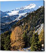 The Upper Valley Martelltal In Fall Canvas Print
