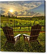 The Vineyard Canvas Print