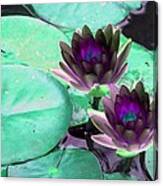 The Water Lilies Collection - Photopower 1118 Canvas Print