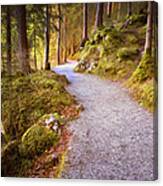 The Way Home Canvas Print