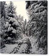 The Way In Snow Canvas Print