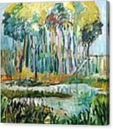 The Wetlands Canvas Print
