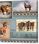 The Wild Horses Of Nevada Canvas Print