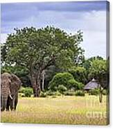 This Is Africa Canvas Print