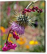 Thistle And Penstemon Canvas Print