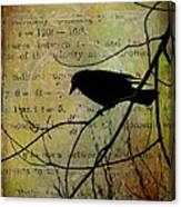 Thoughts Of Crow Canvas Print