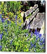 Thoughts On The Weathered Bench Canvas Print