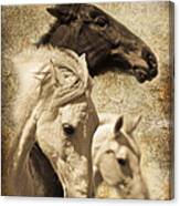 Three Horses West Canvas Print