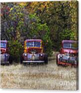 Three Old Friends Canvas Print