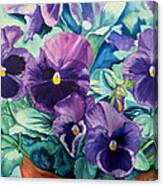 Playful Purple Pansys Canvas Print