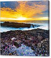 Tidepool Canvas Print