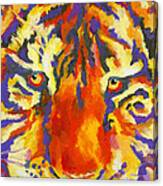 Tiger Eyes Canvas Print