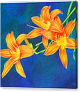 Tiger Lilies Canvas Print