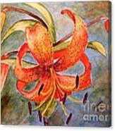 Tiger Lily Canvas Print