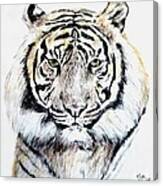 Tiger Portrait Canvas Print